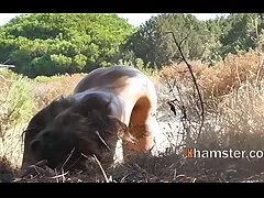 جیانا لین یک خروس سفید ضخیم را مکش می کند تا دهان خود را با تقدیر پر کند کیرتوکس عکس